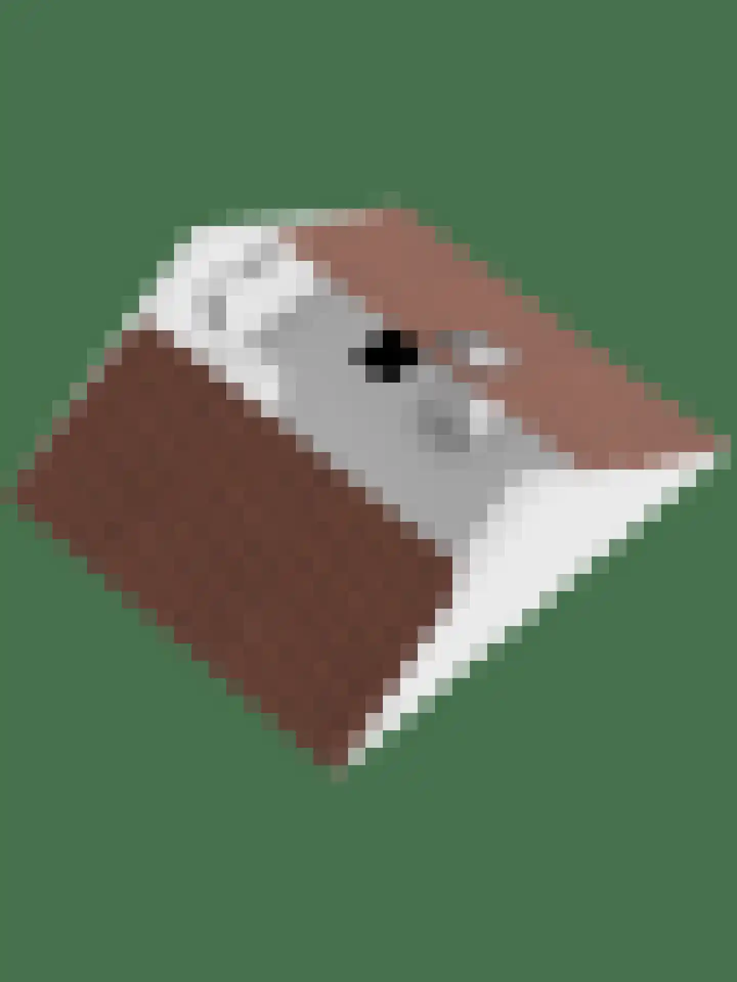 Bredehof 27 Rotterdam thumbnail 30