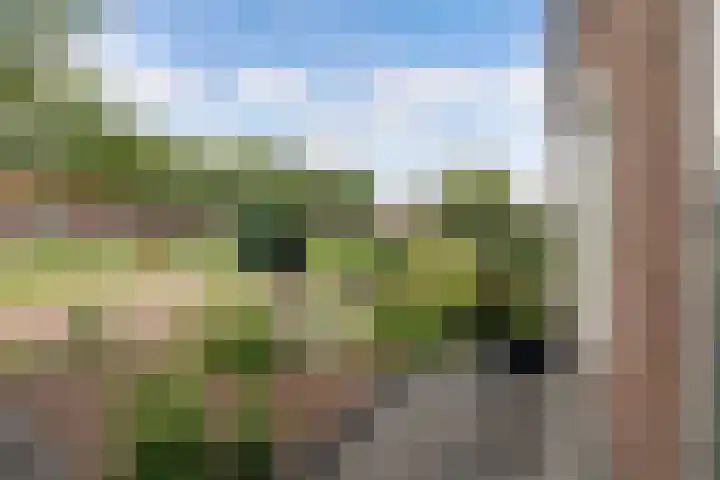Bredehof 28 Espel thumbnail 10