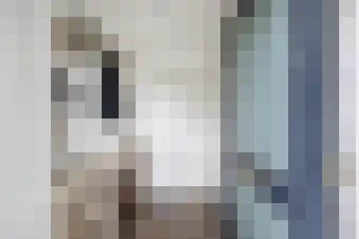 Bredehof 28 Espel thumbnail 11
