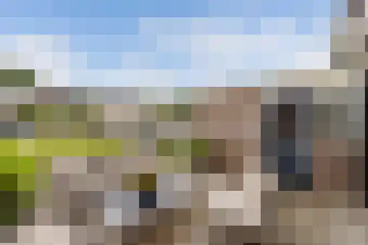 Bredehof 28 Espel thumbnail 26