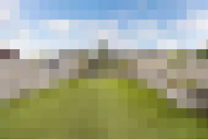 Bredehof 28 Espel thumbnail 28