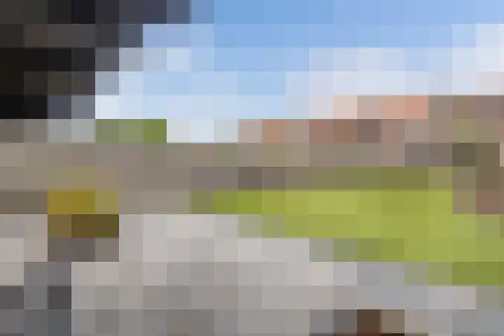Bredehof 28 Espel thumbnail 32