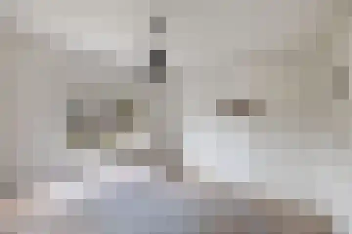 Bredehof 28 Espel thumbnail 37