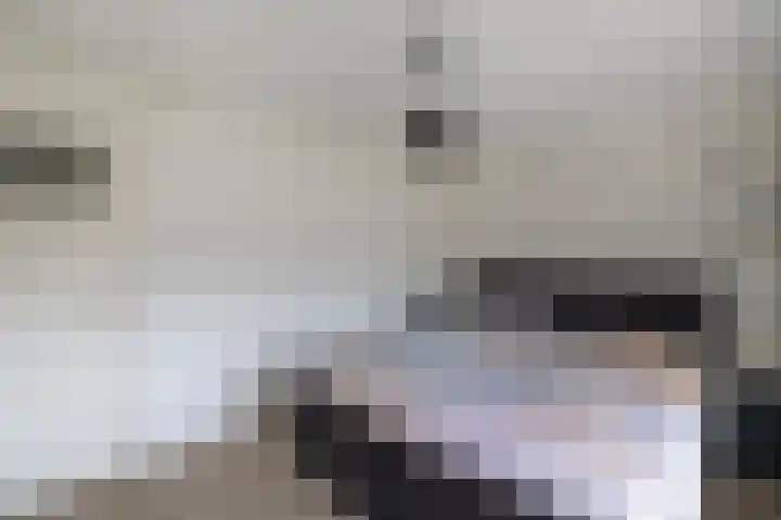 Bredehof 28 Espel thumbnail 38