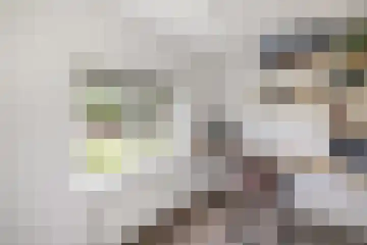 Bredehof 28 Espel thumbnail 39