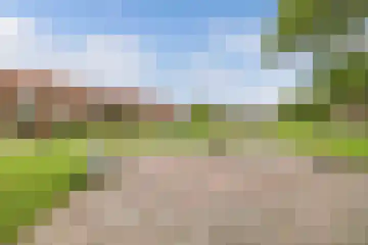 Bredehof 28 Espel thumbnail 6