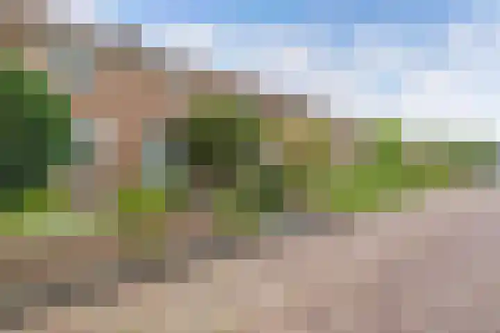 Bredehof 28 Espel thumbnail 9