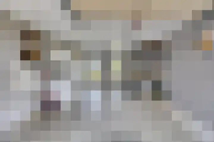 Bredehof 37 Batenburg thumbnail 38