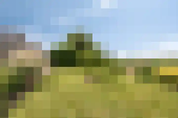 Bredehof 37 Batenburg thumbnail 41