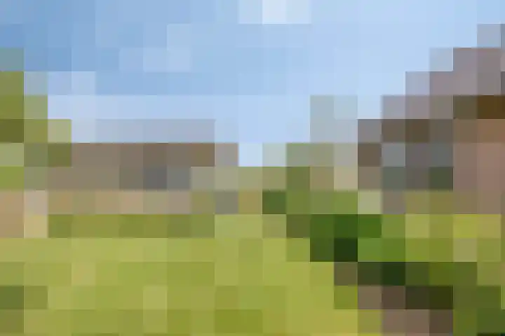 Bredehof 37 Batenburg thumbnail 45