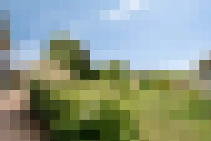 Bredehof 37 Batenburg thumbnail 47