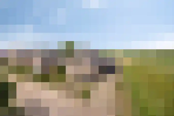 Bredehof 37 Batenburg thumbnail 67