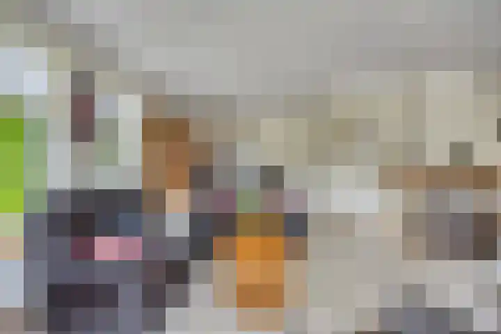 Bredehof 37 Batenburg thumbnail 9