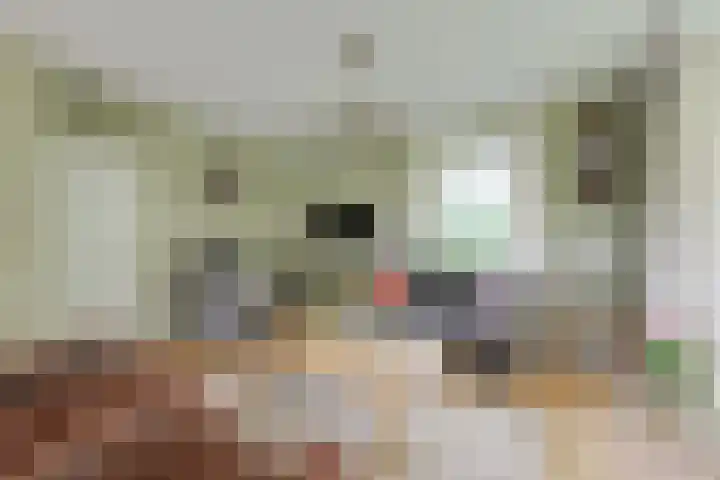 Bredelerweg 1 Winterswijk Ratum thumbnail 16