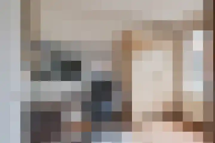 Bredelerweg 1 Winterswijk Ratum thumbnail 30