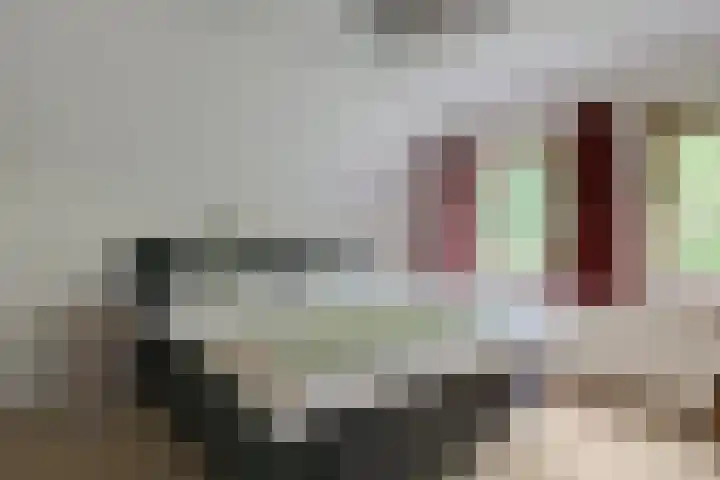 Bredelerweg 1 Winterswijk Ratum thumbnail 33