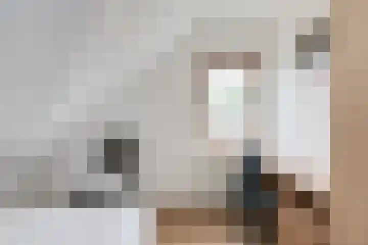 Bredelerweg 1 Winterswijk Ratum thumbnail 34