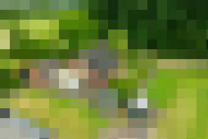Bredelerweg 1 Winterswijk Ratum thumbnail 4