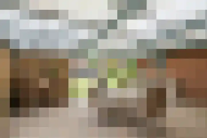 Bredelerweg 1 Winterswijk Ratum thumbnail 45