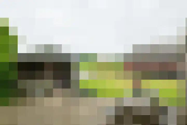 Bredelerweg 1 Winterswijk Ratum thumbnail 47