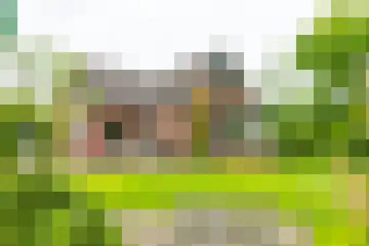 Bredelerweg 1 Winterswijk Ratum thumbnail 5