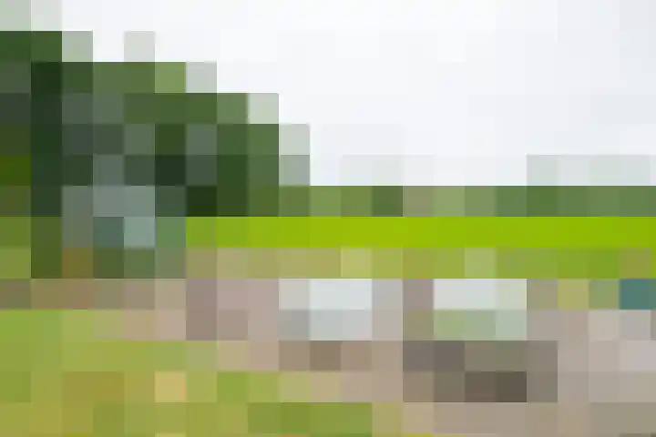 Bredelerweg 1 Winterswijk Ratum thumbnail 51