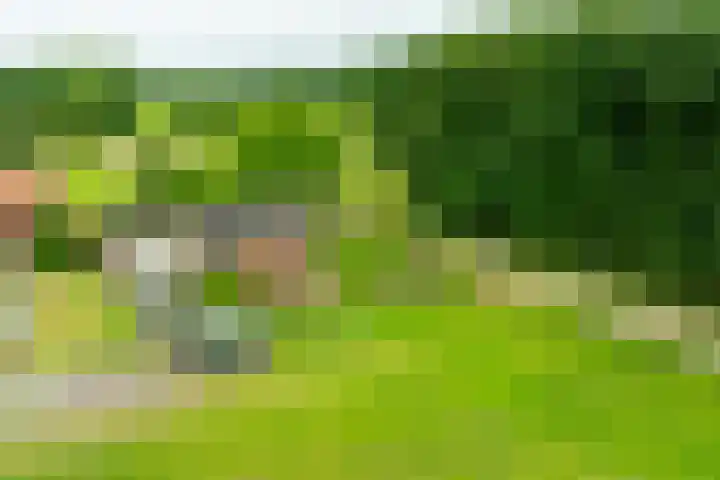 Bredelerweg 1 Winterswijk Ratum thumbnail 52
