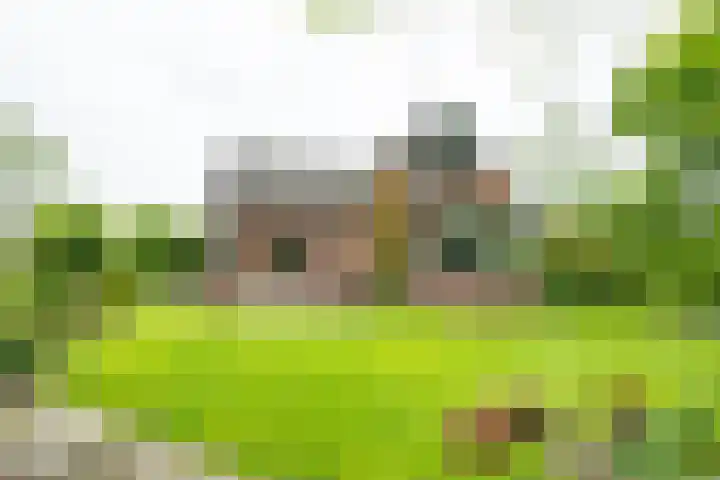 Bredelerweg 1 Winterswijk Ratum thumbnail 64