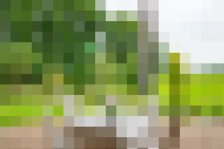 Bredelerweg 1 Winterswijk Ratum thumbnail 7