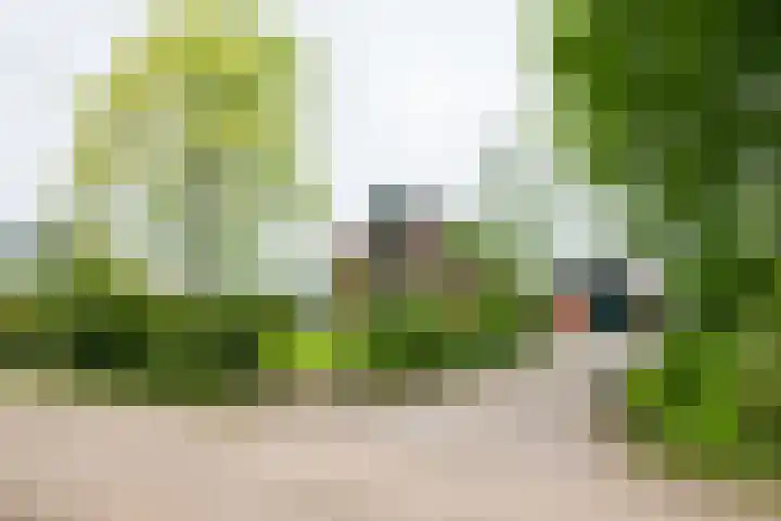 Bredelerweg 1 Winterswijk Ratum thumbnail 8