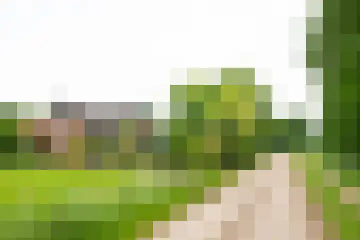 Bredelerweg 1 Winterswijk Ratum thumbnail 9