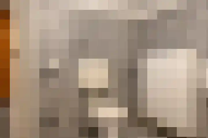 Bredenhofstraat 11 Zaandijk thumbnail 13