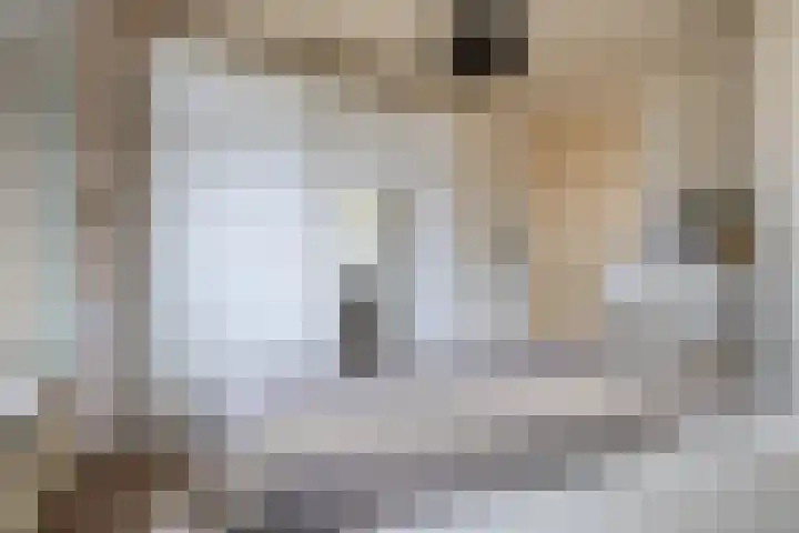 Bredenhofstraat 11 Zaandijk thumbnail 21