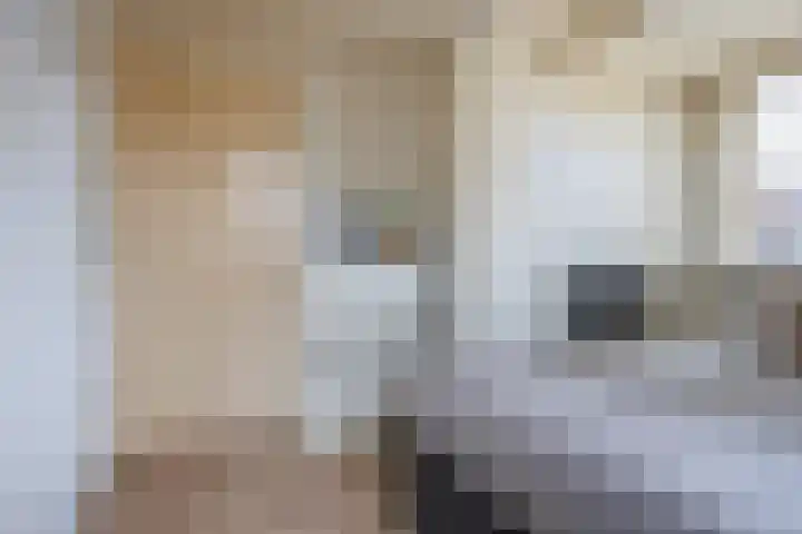Bredenhofstraat 11 Zaandijk thumbnail 22