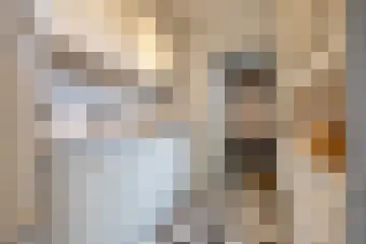 Bredenhofstraat 11 Zaandijk thumbnail 7