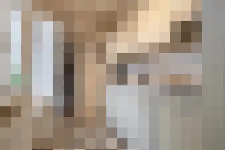 Bredenhofstraat 11 Zaandijk thumbnail 8