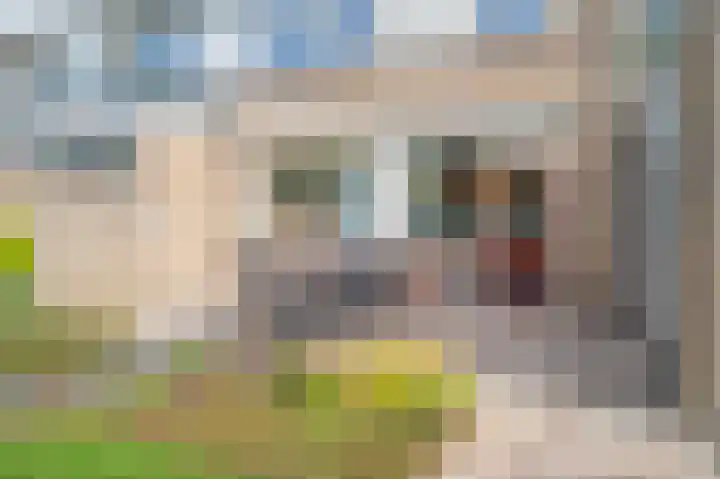 Bredenhorst 141 Deventer thumbnail 22
