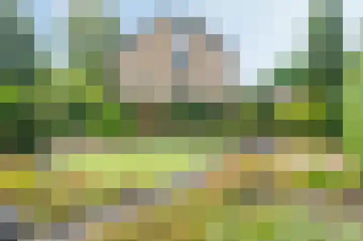 Bredenhorst 141 Deventer thumbnail 23