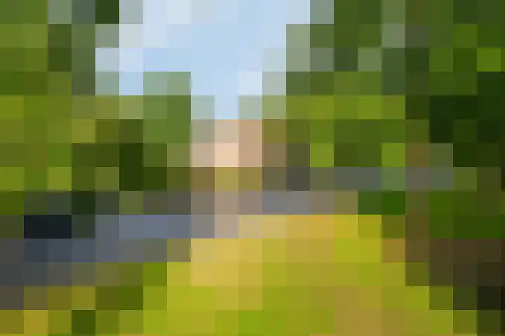 Bredenhorst 141 Deventer thumbnail 27