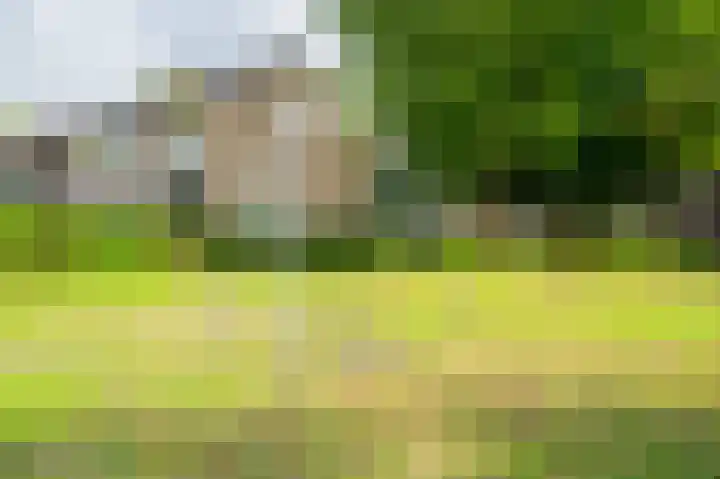 Bredenhorst 141 Deventer thumbnail 28