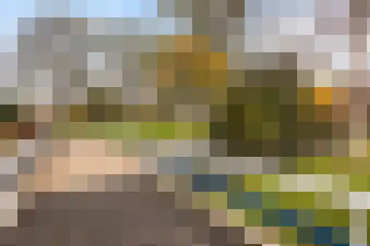 Bredenoord 125 Rotterdam thumbnail 24
