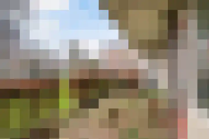 Bredenoord 132 Rotterdam thumbnail 8