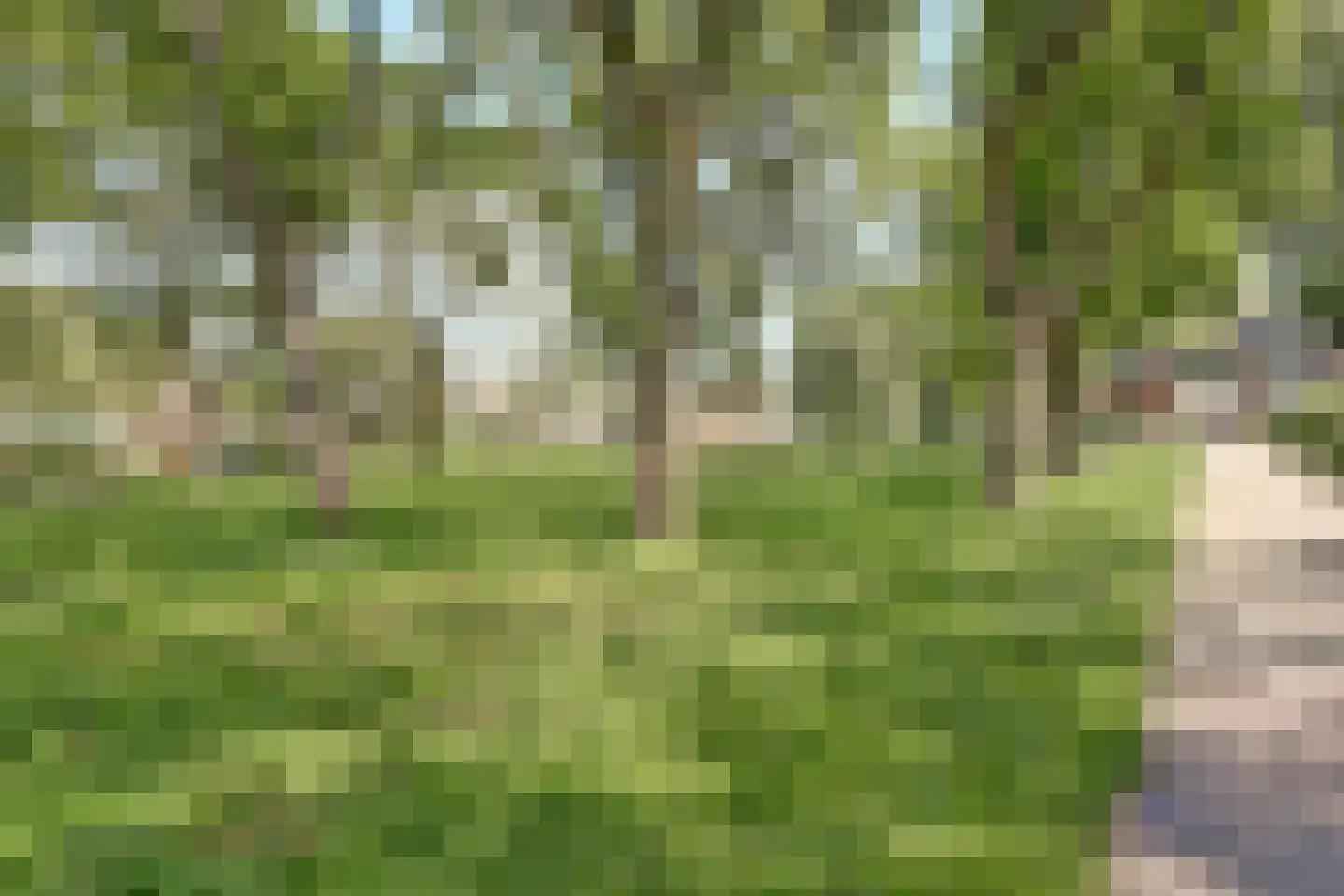 Bredenoord 145 Rotterdam thumbnail 32