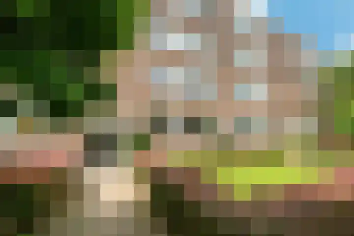 Bredenoord 167 Rotterdam thumbnail 27