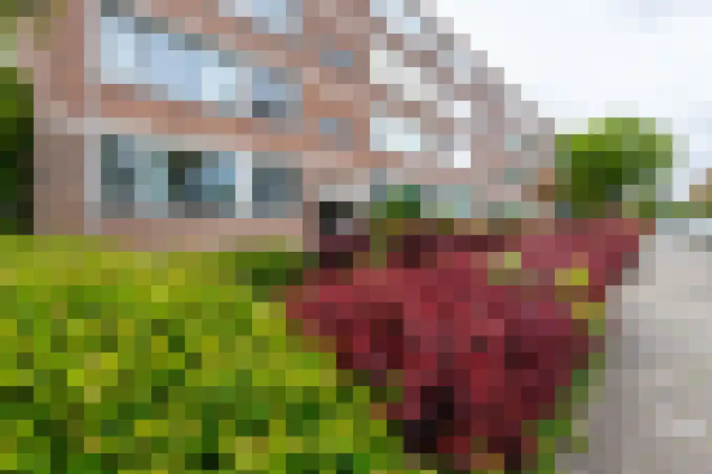 Bredenoord 193 Rotterdam thumbnail 37