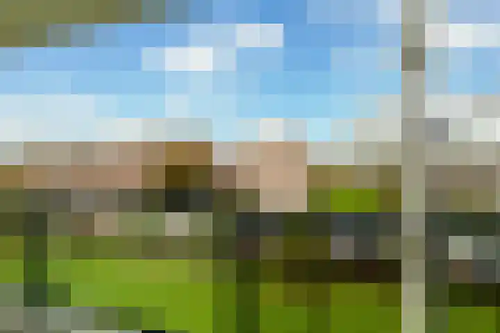Bredenoord 200 Rotterdam thumbnail 16