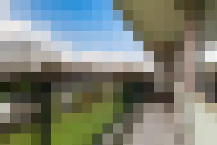 Bredenoord 200 Rotterdam thumbnail 6