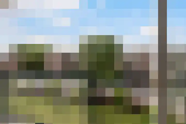 Bredenoord 208 Rotterdam thumbnail 21