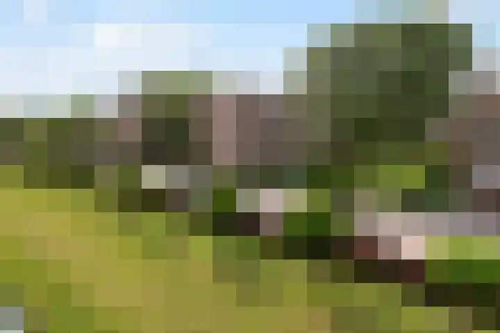Bredenoord 208 Rotterdam thumbnail 32