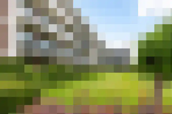 Bredenoord 208 Rotterdam thumbnail 37